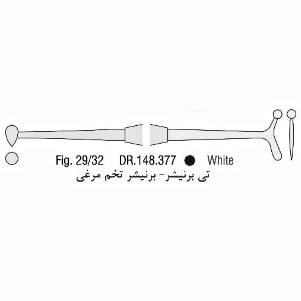 تی برنیشر - فالکن