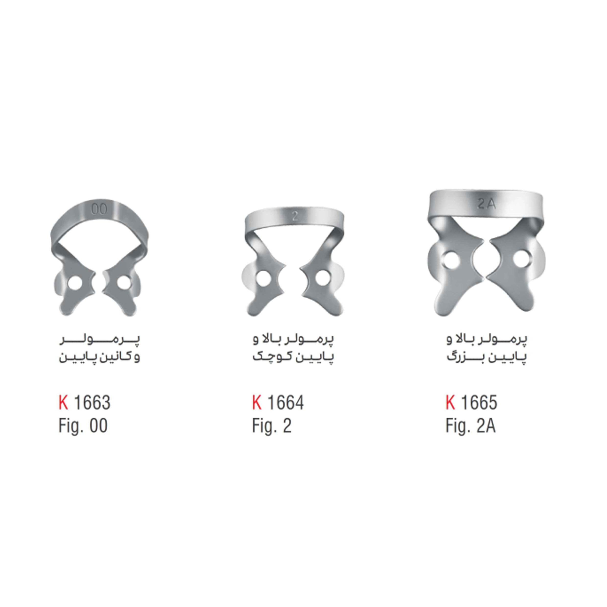 کلمپ پرمولر- کوشا - 2