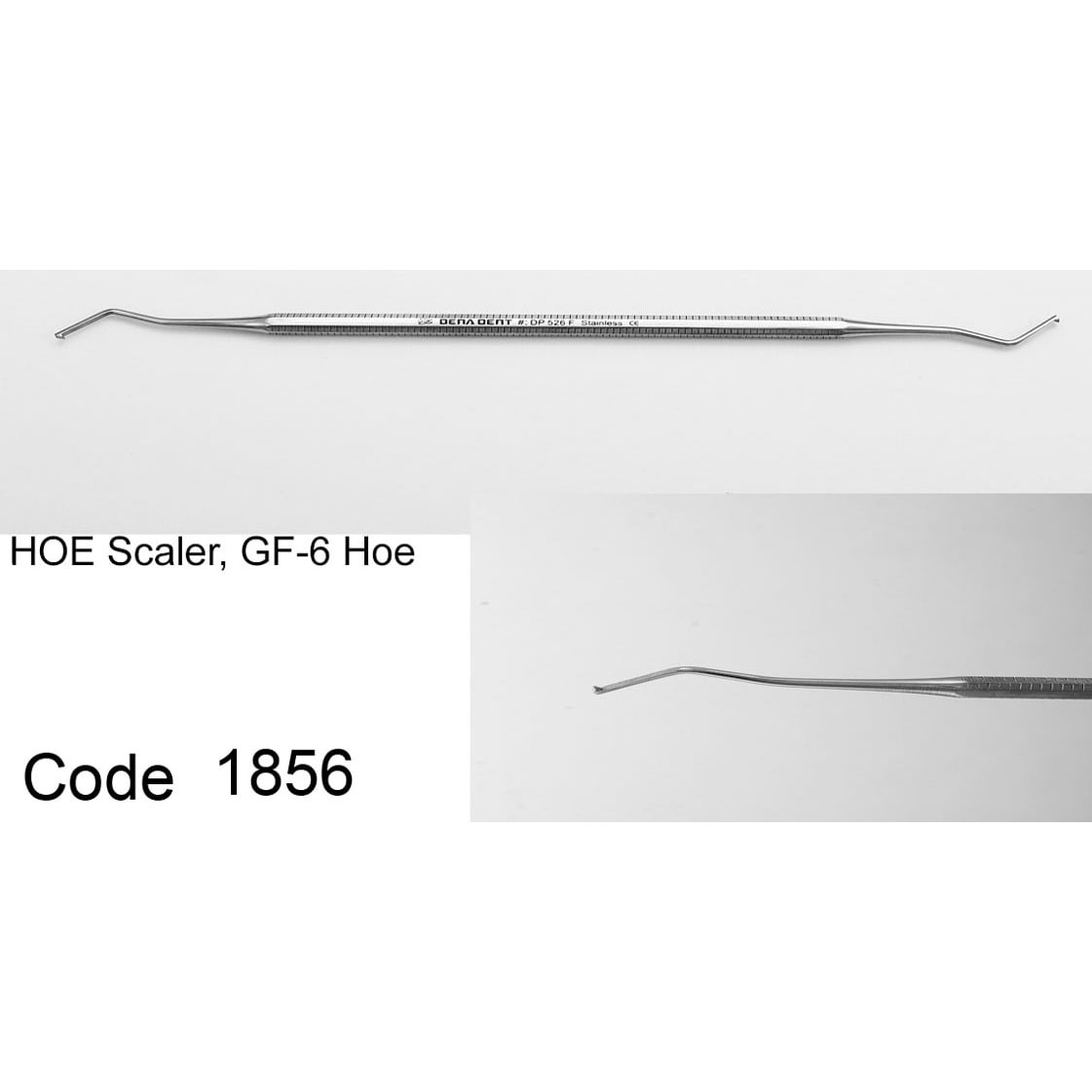 اسکیلر هو- دناپویا - 2