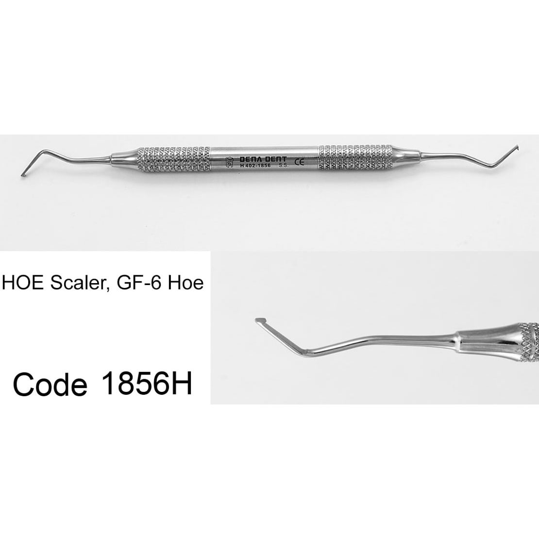 اسکیلرهو دسته هالو- دناپویا - 2